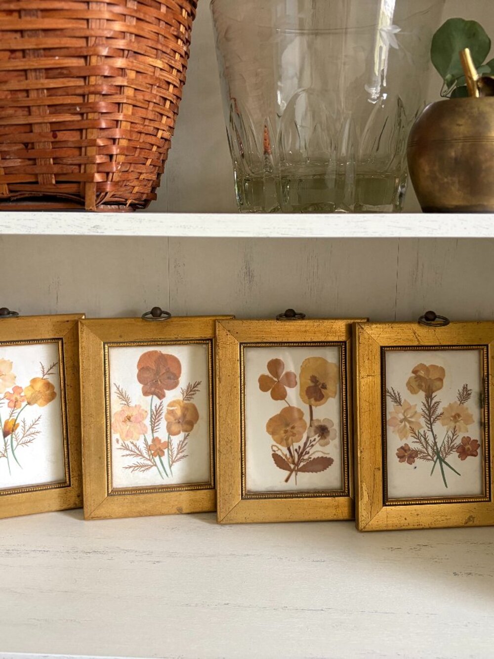 Set of 4 Framed Pressed Flowers | Gold Beaded Frame Botanicals